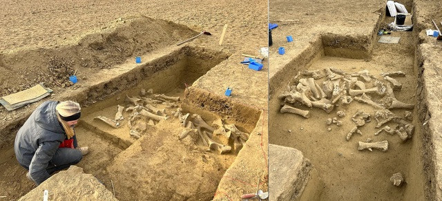 "Nghĩa địa quái vật" được khai quật tại Áo - Ảnh: ÖAW