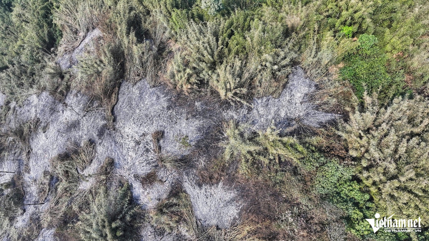 Khung cảnh hoang tàn sau đám cháy. Ảnh: Đức Hoàng