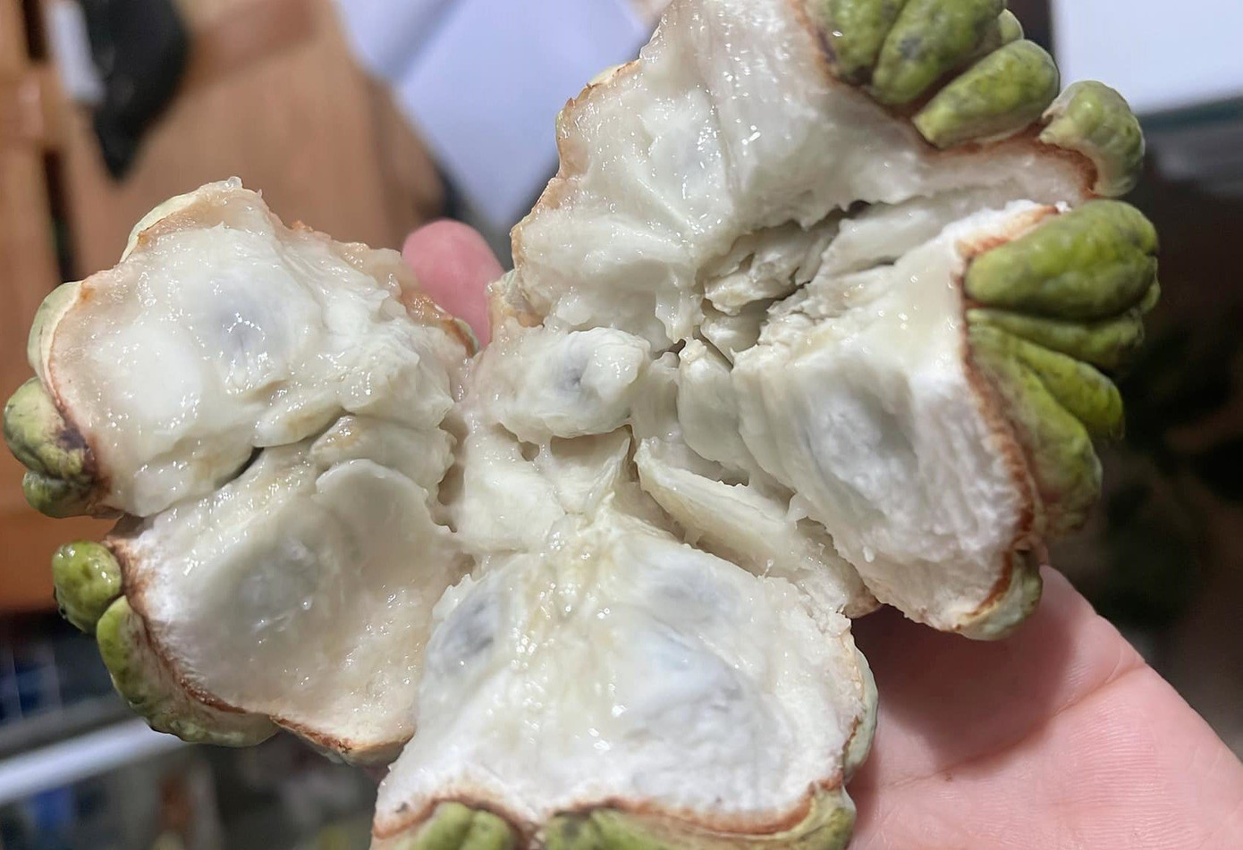 Người bị tiểu đường, bệnh thận, bị mụn nhọt... nên hạn chế ăn na. Người bị tiểu đường, bệnh thận, bị mụn nhọt... nên hạn chế ăn na.