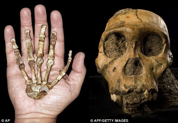Xương bàn tay của phụ nữ được tìm cùng chỗ với Karabo. Xương bàn tay của phụ nữ được tìm cùng chỗ với Karabo