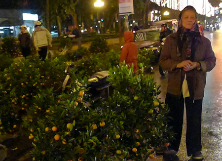 Bà cụ bên những cây quất trước giao thừa
