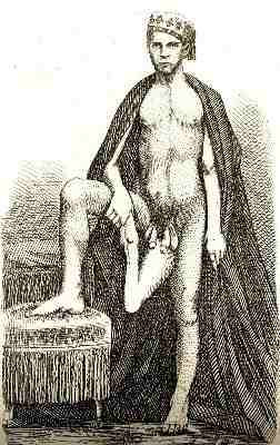 Hình vẽ minh họa Santos với cấu tạo gồm hai bộ phận sinh dục nam.