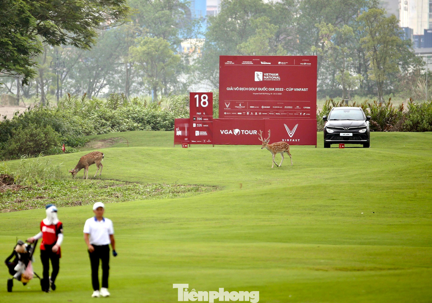 Giải Vô địch Golf Quốc gia 2022 – Cúp VinFast do Tổng cục Thể dục Thể thao, UBND thành phố Hải Phòng, báo Tiền Phong, Hiệp hội Golf Việt Nam phối hợp tổ chức, diễn ra tại sân Vinpearl Golf Hải Phòng (Vũ Yên, Hải Phòng).