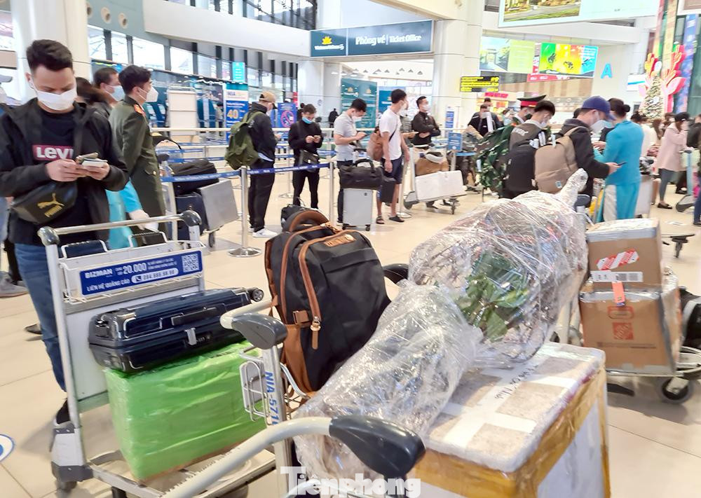 Khách đăng ký trước và trả thêm phí để đưa cành đào vào Nam.