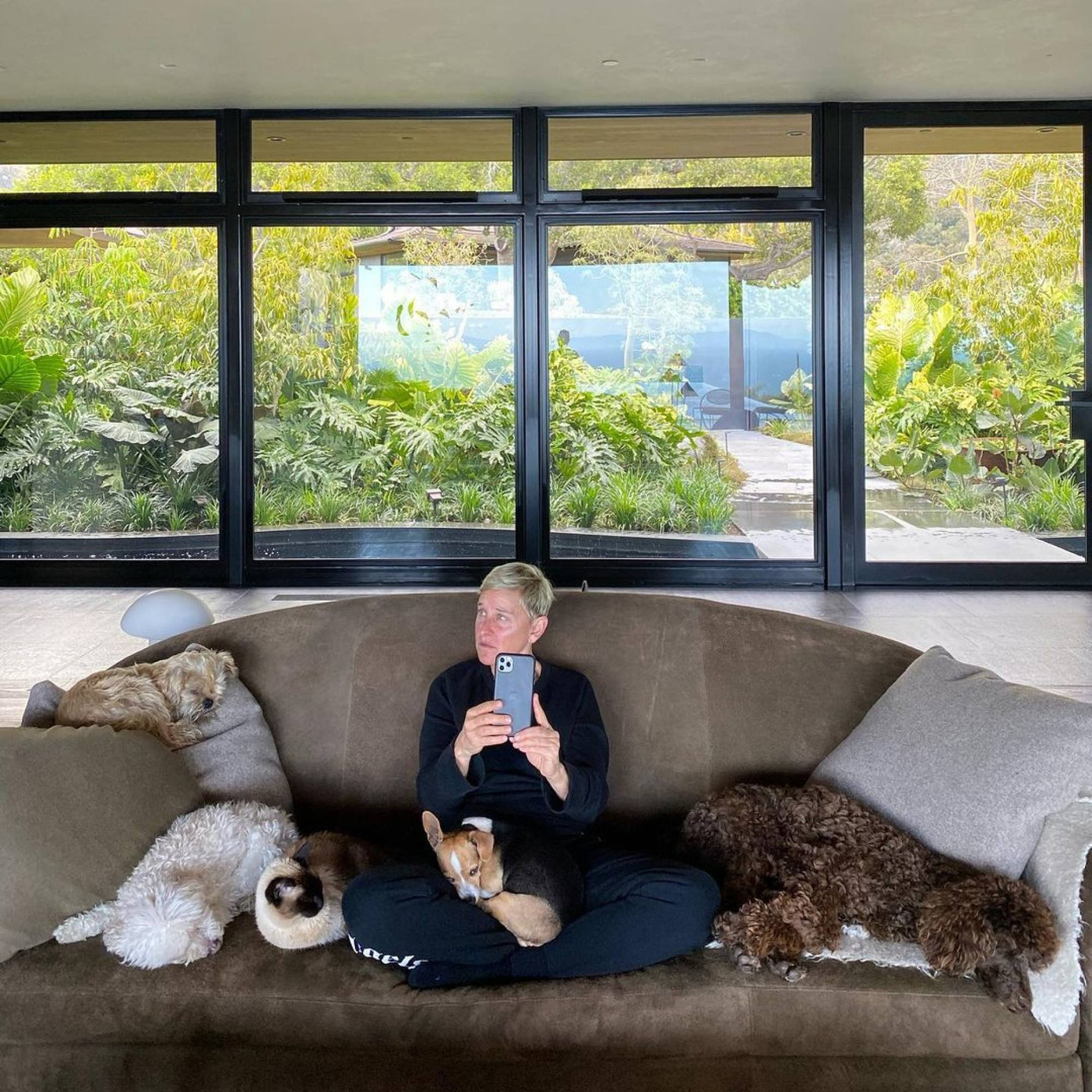 Ellen DeGeneres sống cùng vợ và thú cưng trong biệt thự 45 triệu USD. Ảnh: IG. Ellen DeGeneres sống cùng vợ và thú cưng trong biệt thự 45 triệu USD. Ảnh: IG.
