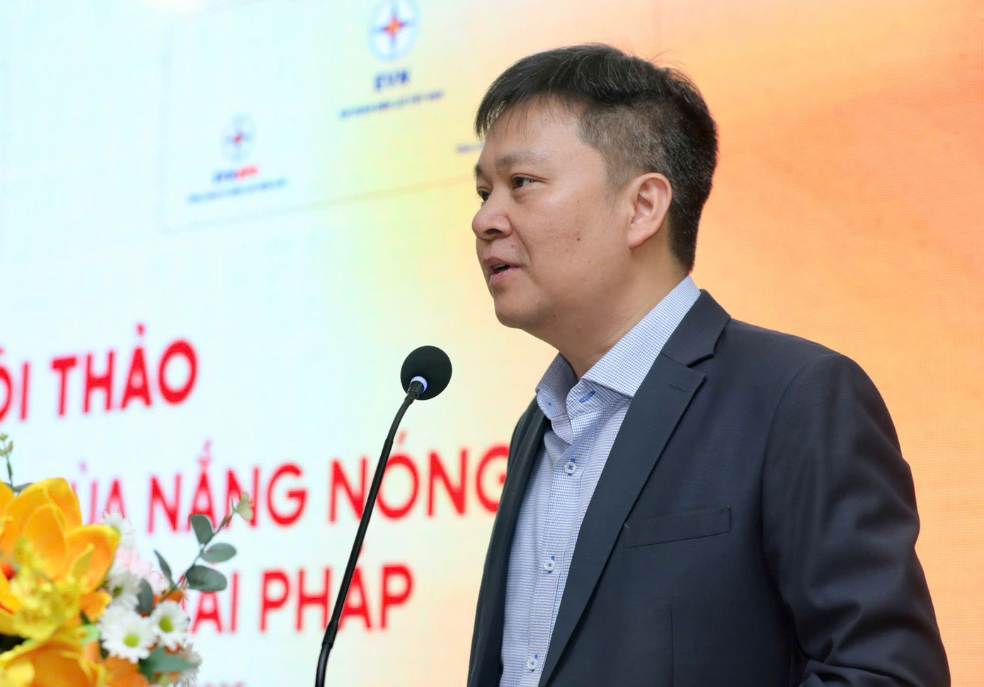 Ông Nguyễn Thế Hữu - Phó Cục trưởng Cục Điện lực. Ông Nguyễn Thế Hữu - Phó Cục trưởng Cục Điện lực.