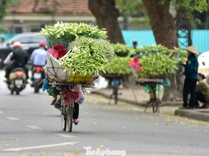 Hoa loa kèn trên những chiếc xe đạp cũ tạo nên vẻ đẹp rất riêng của tháng Tư Hà Nội.