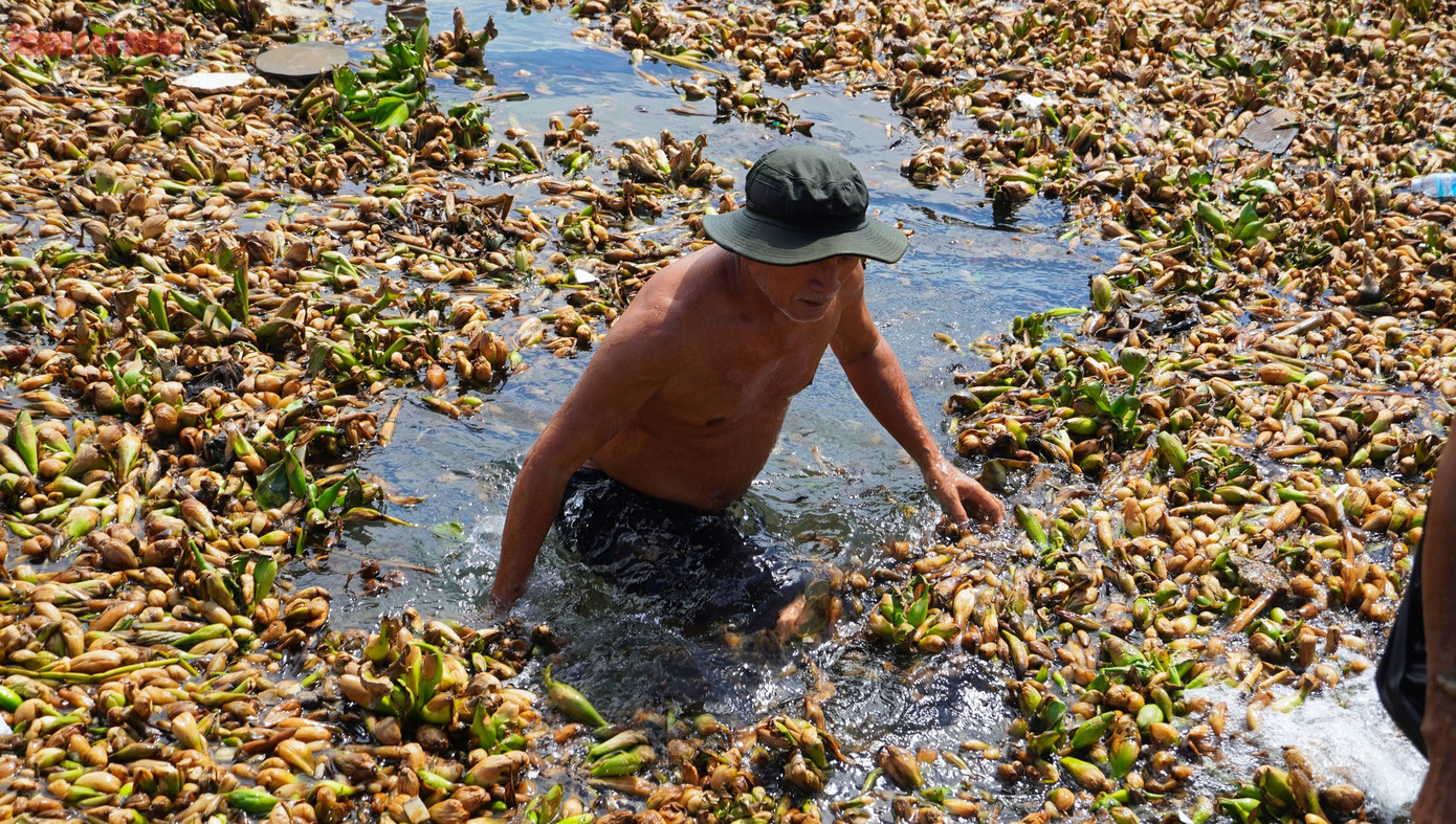 Mỗi lần gạt lục bình ra là lại thấy bao nhiêu rác, chai nhựa, túi ni-lông, cành cây mục… rất dơ và hôi. Nhưng mà nóng quá nên nhiều người vẫn cố gắng lội ra xa mới dám tắm.