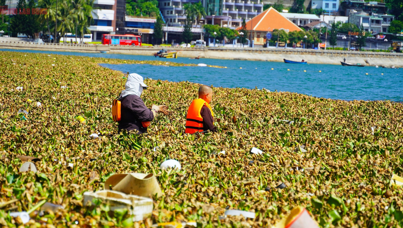 Cảnh tượng không khác gì một cuộc "lội biển bất đắc dĩ", khi người dân vừa đi vừa dùng tay vén từng mảng lục bình, chân dò dẫm từng bước giữa đám rác nổi lềnh bềnh như đang bơi trong một cánh rừng nước.