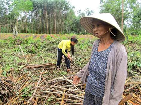 Bà Nguyễn Thị Mía: “Mơ thấy cầu rồi chết”