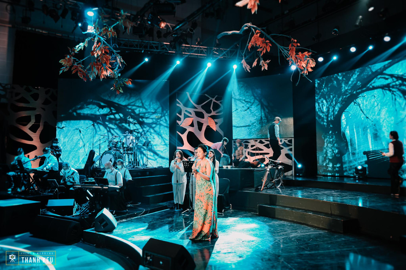 Ca sĩ Mỹ Linh trên sân khấu QTX Ca sĩ Mỹ Linh trên sân khấu QTX