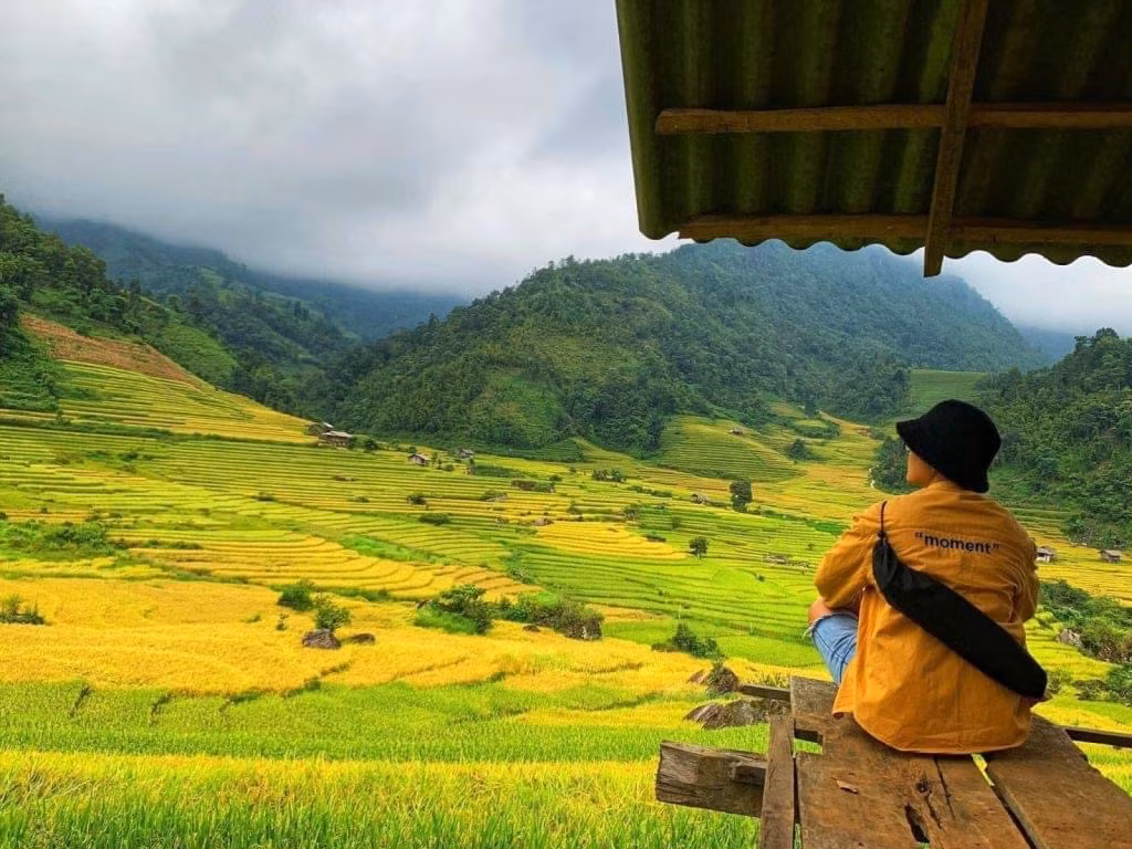 Thời điểm hiện tại, nhiều du khách, nhất là các bạn trẻ tìm đến Nậm Cang để thưởng thức "đặc sản" mỗi năm chỉ có một lần này. Bạn Bùi Quang Thụy (Hà Nội) chia sẻ: "Nậm Cang ấn tượng nhất với mình là vẻ đẹp của những ngôi lều, ngôi nhà gỗ bên những thửa ruộng hay dưới chân núi, khiến vẻ yên bình và dung dị nơi đây được nhân thêm gấp trăm lần. Chụp ảnh bên những ngôi nhà gỗ, giữa một cánh đồng rộng lớn hay ngọn núi cao cũng đẹp chả kém gì những nơi danh lam thắng cảnh khác."