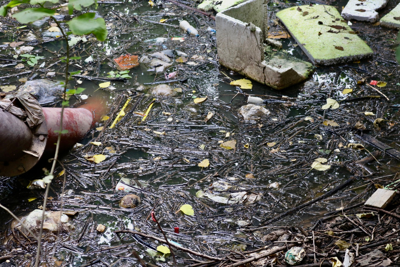 Nước đen đặc nổi váng, rác thải đóng thành bè lềnh phềnh trên mặt nước bốc mùi hôi tanh, khó chịu. Nước đen đặc nổi váng, rác thải đóng thành bè lềnh phềnh trên mặt nước bốc mùi hôi tanh, khó chịu.