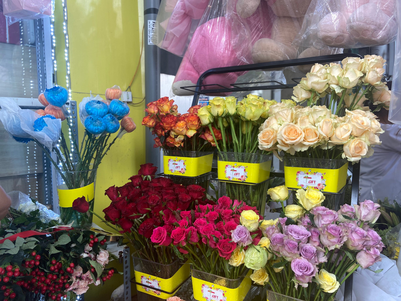 Nhiều loại hoa nhập có giá khá cao.