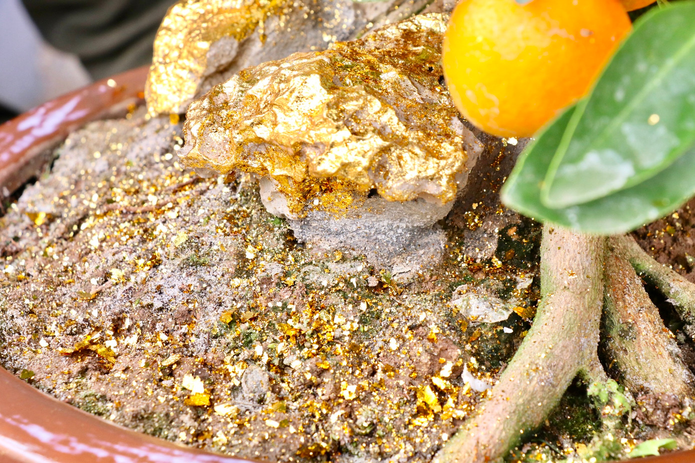 Anh Nam cho biết, để hoàn thành một chậu quất dát vàng thì cần phải dùng từ 1.500 - 2.000 lá vàng công nghiệp 24k. Giá bán mỗi chậu quất dát vàng dao động từ 2-4,5 triệu đồng/chậu tùy kích thước.