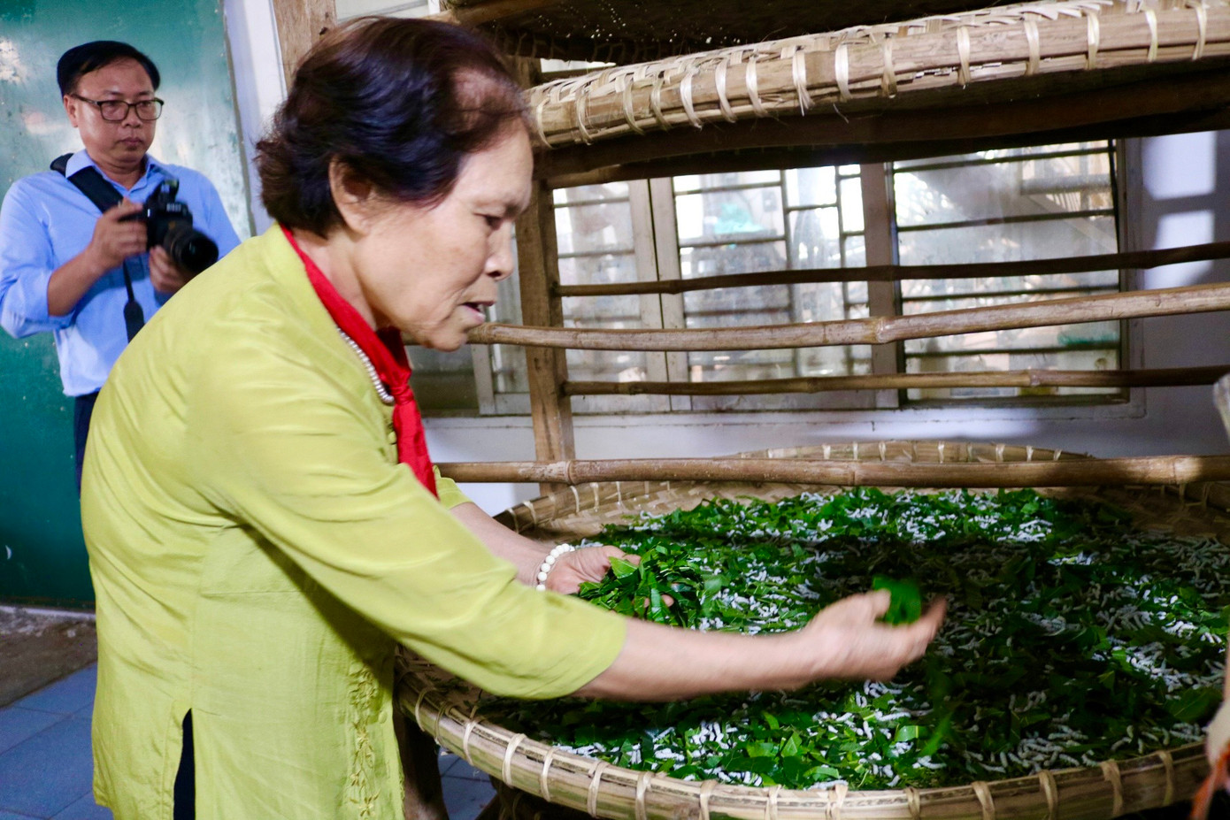 Theo người dân, tằm là loại ưa sạch và rất "kén ăn". Không gian nuôi tằm phải sạch và có bầu không khí trong lành, không ô nhiễm. Thức ăn cho tằm chủ yếu là lá dâu. Lá dâu cho tằm ăn phải tươi, đủ nước giàu đạm. Thường lá dâu sẽ được thái theo sợi, nhưng để lá lâu héo có thể thái vuông. Theo người dân, tằm là loại ưa sạch và rất "kén ăn". Không gian nuôi tằm phải sạch và có bầu không khí trong lành, không ô nhiễm. Thức ăn cho tằm chủ yếu là lá dâu. Lá dâu cho tằm ăn phải tươi, đủ nước giàu đạm. Thường lá dâu sẽ được thái theo sợi, nhưng để lá lâu héo có thể thái vuông.