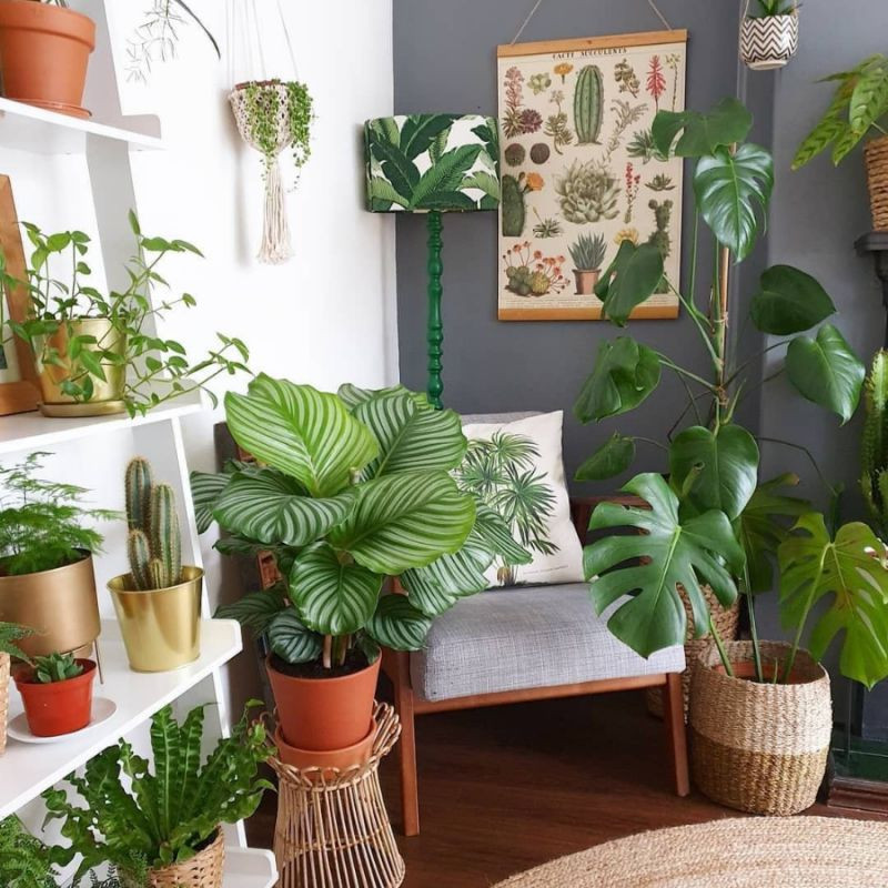 Bố trí cây xanh trong nhà giúp không khí trong lành hơn và làm mát tự nhiên trong những ngày hè. Bố trí cây xanh trong nhà giúp không khí trong lành hơn và làm mát tự nhiên trong những ngày hè.