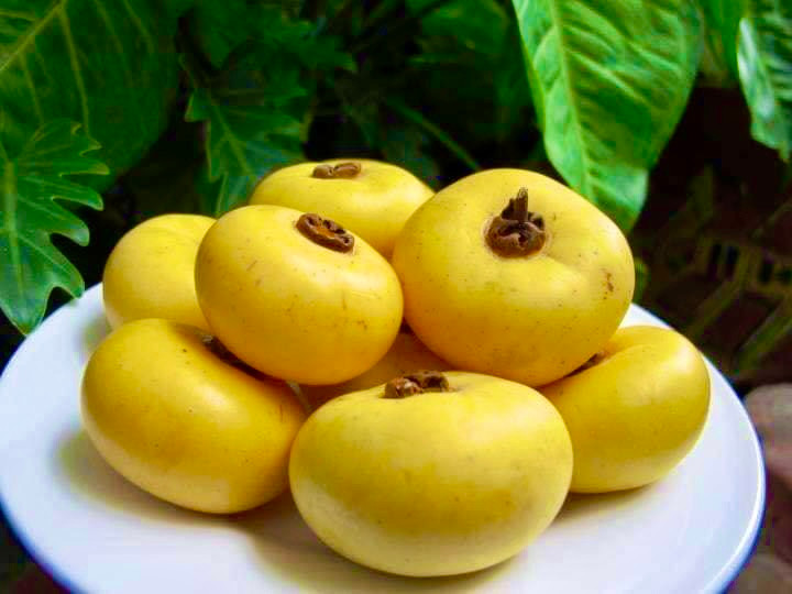 Những trái thị "cô Tấm" được mua về "ngửi chứ không ăn". Bày thứ quả này trong phòng khách hay phòng ngủ vừa thơm lại vừa bắt mắt.