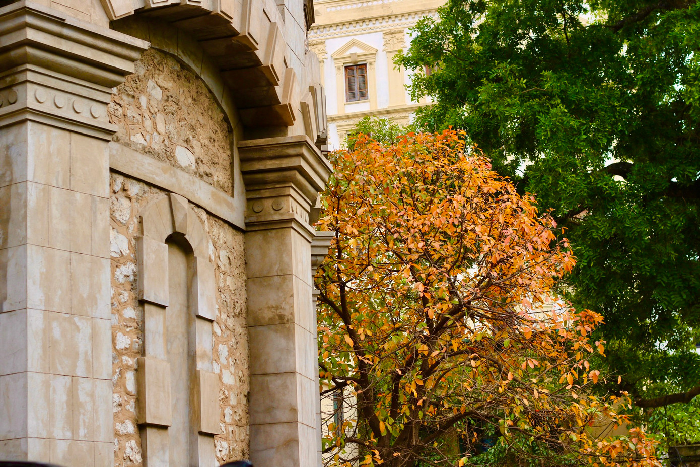 Ảnh: Lâm Thùy Dương