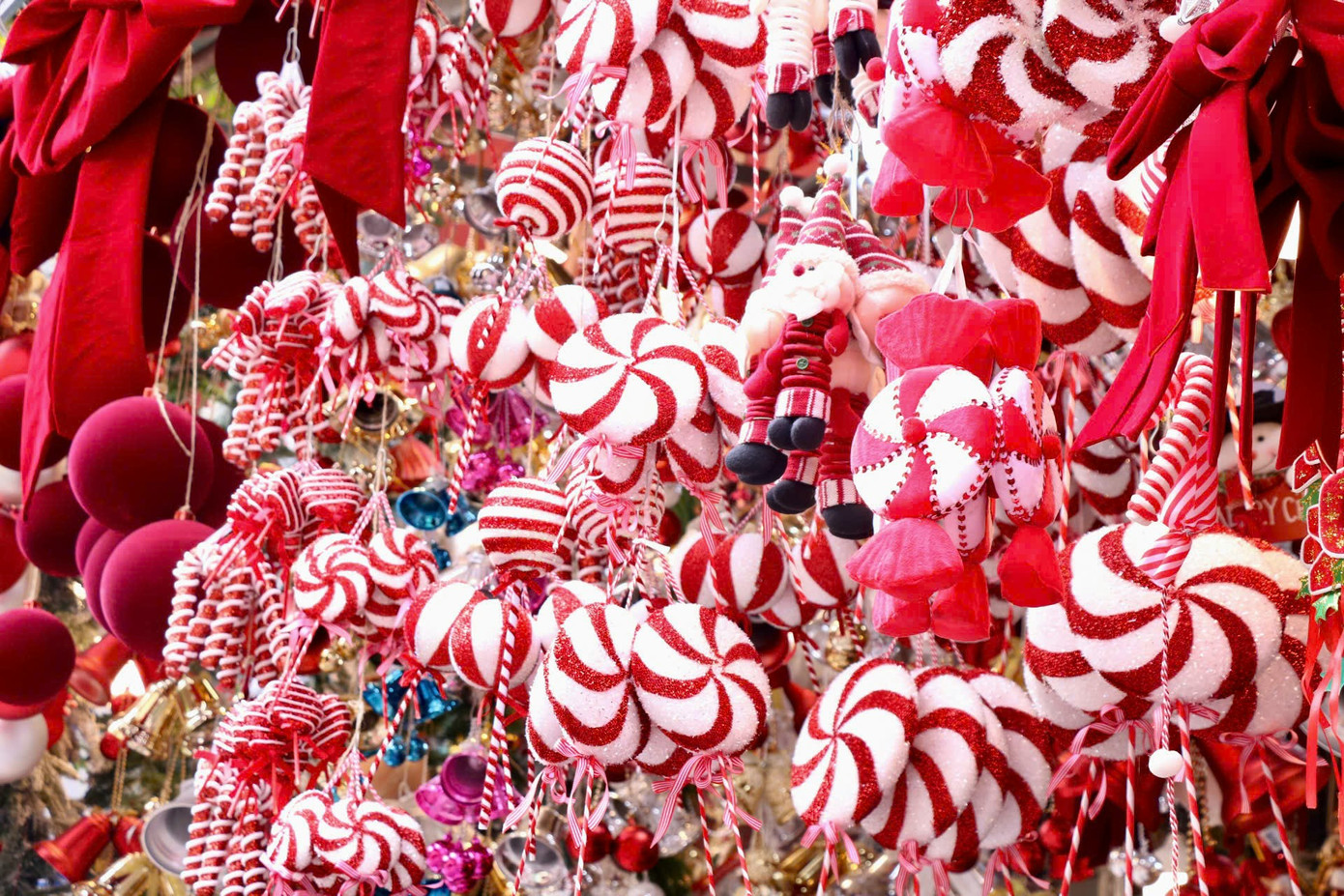 Theo ghi nhận của PV, những đồ trang trí rực rỡ sắc màu được bài trí rất bắt mắt. Mẫu mã, thiết kế của đồ trang trí năm nay cầu kỳ và đa dạng hơn năm ngoái. Khách hàng đến có thể thoải mái lựa chọn những sản phẩm mình thấy ưng ý. Nhiều chủ cửa hàng cho biết, đồ trang trí năm nay đa dạng mẫu mã hơn năm trước. Ngoài những sản phẩm trang trí Giáng sinh truyền thống như dải kim tuyến, chuông thánh đường, cây thông Noel, ông già Noel.... thì năm nay những mẫu người tuyết, mẫu tuần lộc, gấu bông mới ra mắt cũng được nhiều người ưa chuộng. Mức giá những sản phẩm này dao động từ 600.000 đồng đến khoảng 2.000.000 đồng/con, tùy kích thước.