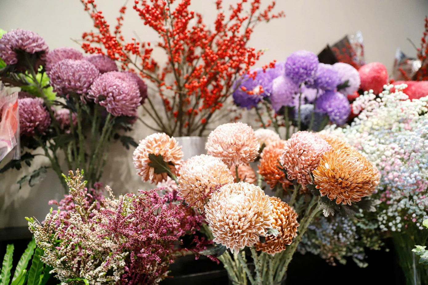 Cúc mẫu đơn nhập khẩu năm nay với những màu sắc độc lạ cũng thu hút khách. Cúc mẫu đơn nhập khẩu năm nay với những màu sắc độc lạ cũng thu hút khách.