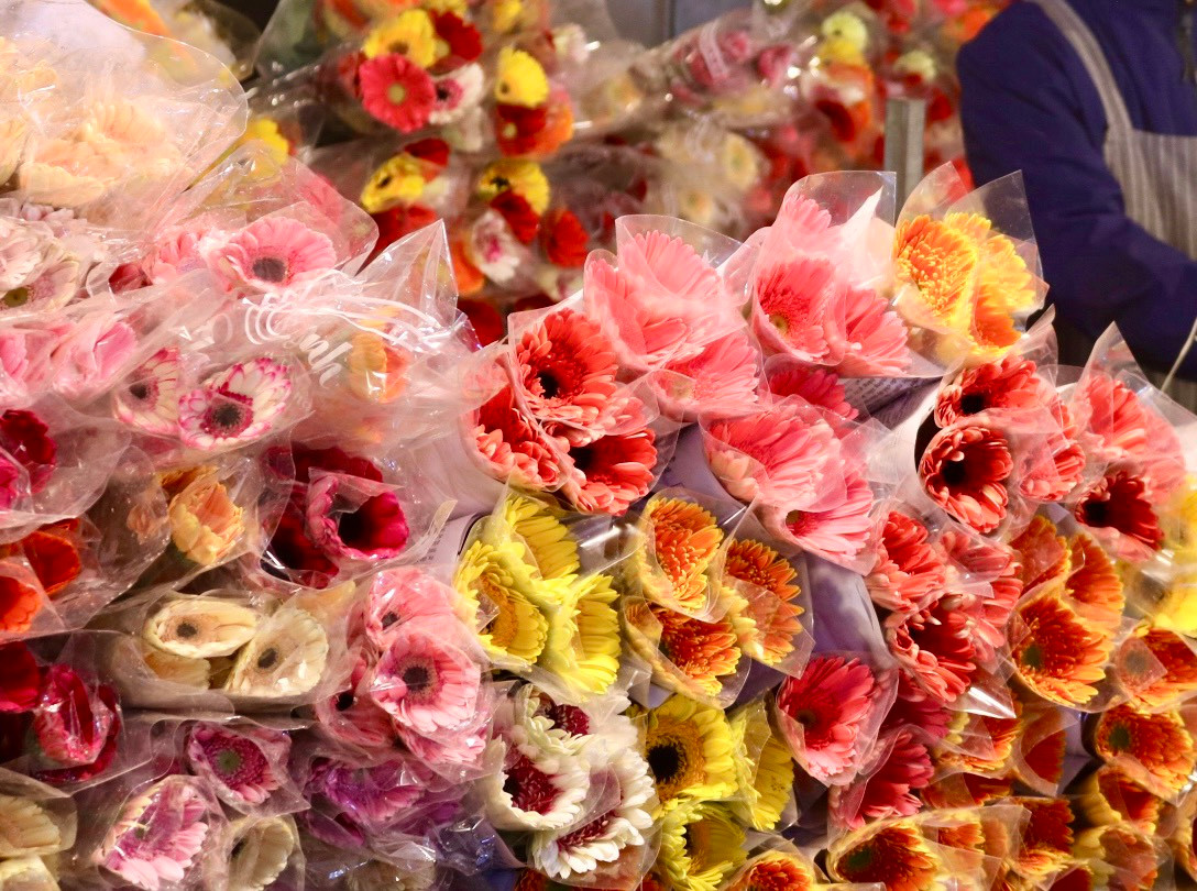 Nhiều loại hoa đẹp được bày bán tại chợ hoa Quảng An để phục vụ nhu cầu thắp hương ngày rằm cũng như chơi hoa sau tết của người dân Thủ đô.