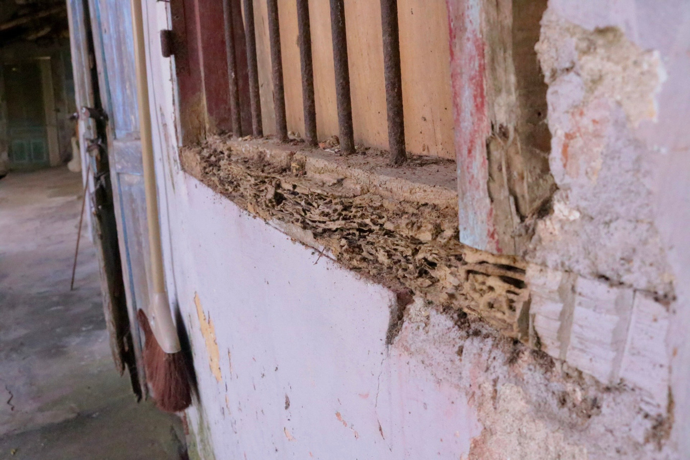 Cửa nhiều nhà đã mục nát. Bà Đỗ Thị Liên cho biết, tại đây đã có rất nhiều vụ mất trộm. Người dân đi làm về mệt ngủ thiếp đi cái là trộm lẻn vào dắt xe, bắt trộm vật nuôi và lấy đi cả đồ dùng trong nhà.