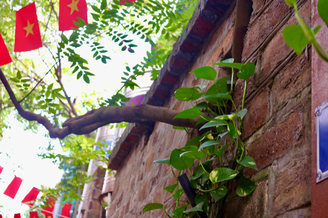 Các tường gạch đa phần để trần không trát vữa, điểm xuyết bằng dây leo. Tất cả tạo nên lối kiến trúc mộc mạc cho con ngõ nhỏ.