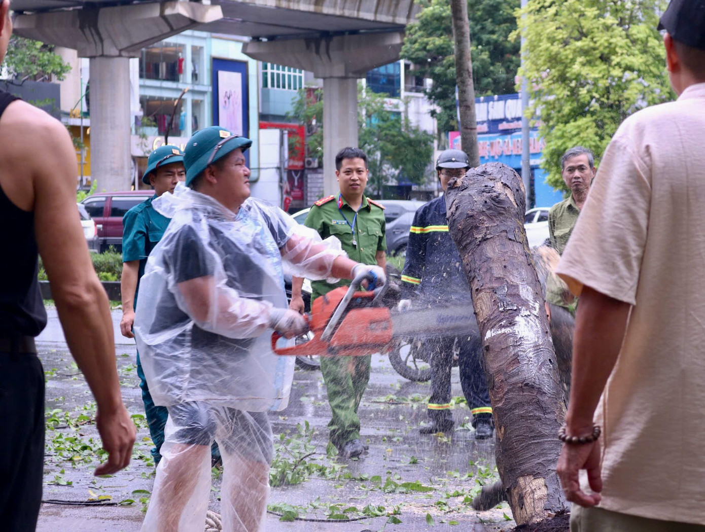 Vì nhân lực có hạn, nên việc dọn dẹp cây gãy đổ tùy theo tuyến đường có sự ưu tiên nhất định. Đối với những con đường huyết mạch, lưu lượng xe đi qua đông, các phường sẽ cử lực lượng dọn dẹp trước và tiến hành dần đối với những con đường khác. Nhiều lực lượng xuống đường phối hợp dọn dẹp như cán bộ phường, thanh niên tình nguyện, công an, nhân viên cây xanh, đô thị, lực lượng phòng cháy chữa cháy... Vì nhân lực có hạn, nên việc dọn dẹp cây gãy đổ tùy theo tuyến đường có sự ưu tiên nhất định. Đối với những con đường huyết mạch, lưu lượng xe đi qua đông, các phường sẽ cử lực lượng dọn dẹp trước và tiến hành dần đối với những con đường khác. Nhiều lực lượng xuống đường phối hợp dọn dẹp như cán bộ phường, thanh niên tình nguyện, công an, nhân viên cây xanh, đô thị, lực lượng phòng cháy chữa cháy...
