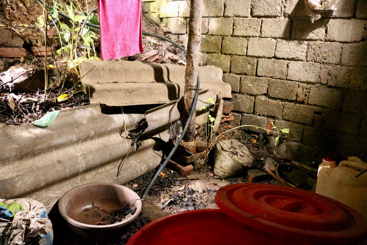 Các khu vực có gỗ như xà nhà, cột chống, cánh cửa đều bị mối mọt, mục rỗng.