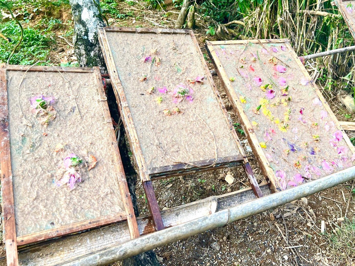 Sau khi hoàn thành đổ bột thì khuôn tranh giấy sẽ được đem ra phơi nắng. Theo kinh nghiệm của người làm giấy thì đến khi nào mặt vải lưới khô thì giấy cũng khô. Công đoạn này mất khoảng 2 tiếng chờ. Sau khi hoàn thành đổ bột thì khuôn tranh giấy sẽ được đem ra phơi nắng. Theo kinh nghiệm của người làm giấy thì đến khi nào mặt vải lưới khô thì giấy cũng khô. Công đoạn này mất khoảng 2 tiếng chờ.