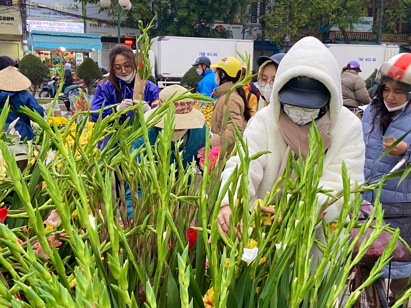 Chị Nguyễn Kim Anh (phương Đông Thọ, TP Thanh Hóa) cho biết đang cùng em trai đi chọn hoa về để cắm trên bàn trà: "Tôi dự định cắm một bình dơn vàng để bàn ngày Tết. Sở dĩ tôi chọn màu vàng bởi khi hoa nở sẽ làm sáng bừng không gian và nổi bật trên đồ gỗ hơn so với dơn đỏ".