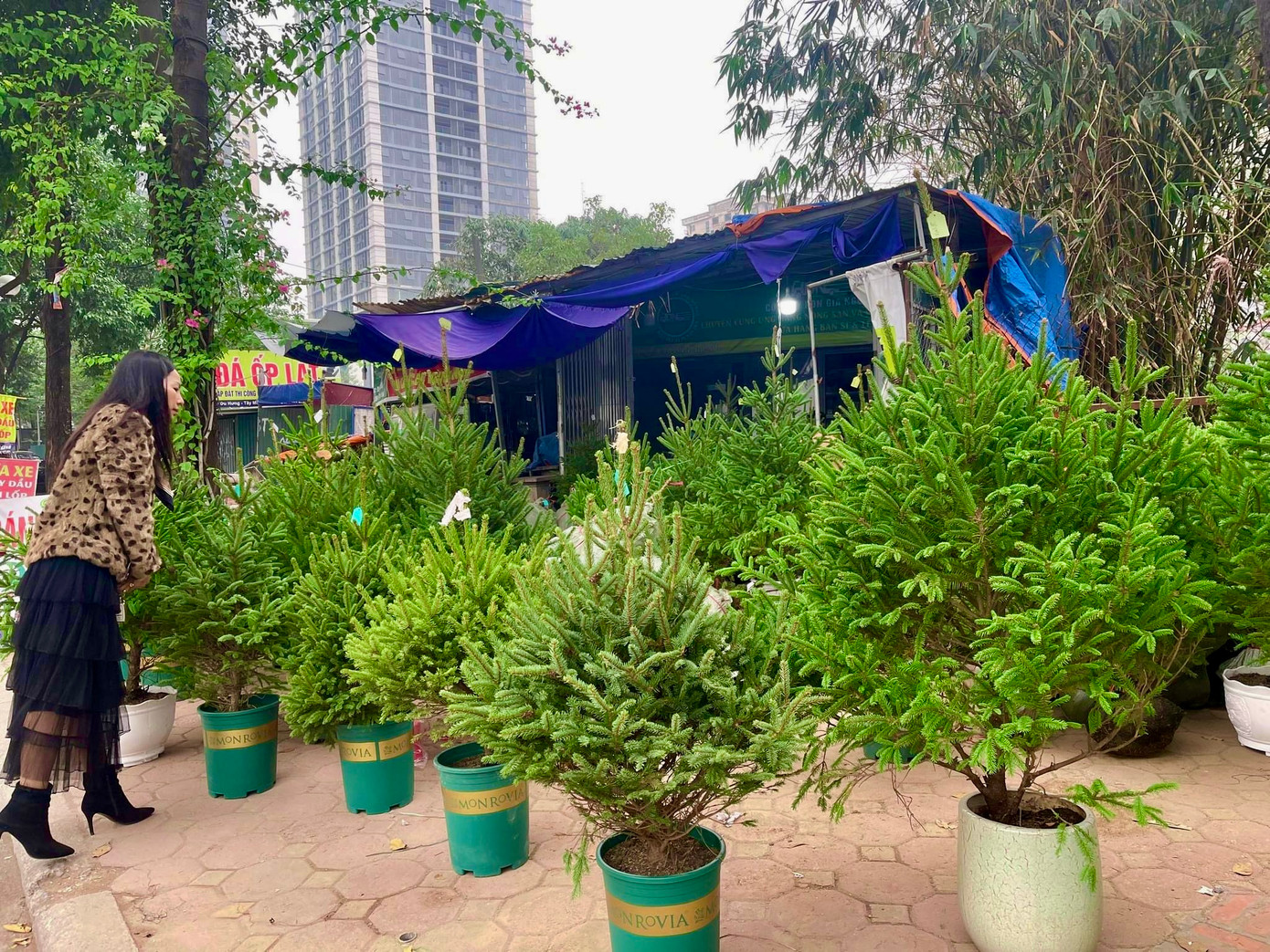 Cửa hàng thông trên đường Tố Hữu.