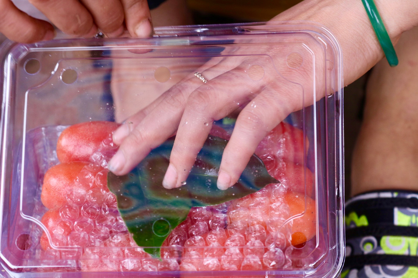 Những quả nhót chín sau khi thu mua lại từ người dân sẽ được gia đình chị Lan đóng vào hộp với trọng lượng khoảng 500g và được ngăn nhau bằng những lớp chống xóc. Những quả nhót chín sau khi thu mua lại từ người dân sẽ được gia đình chị Lan đóng vào hộp với trọng lượng khoảng 500g và được ngăn nhau bằng những lớp chống xóc.