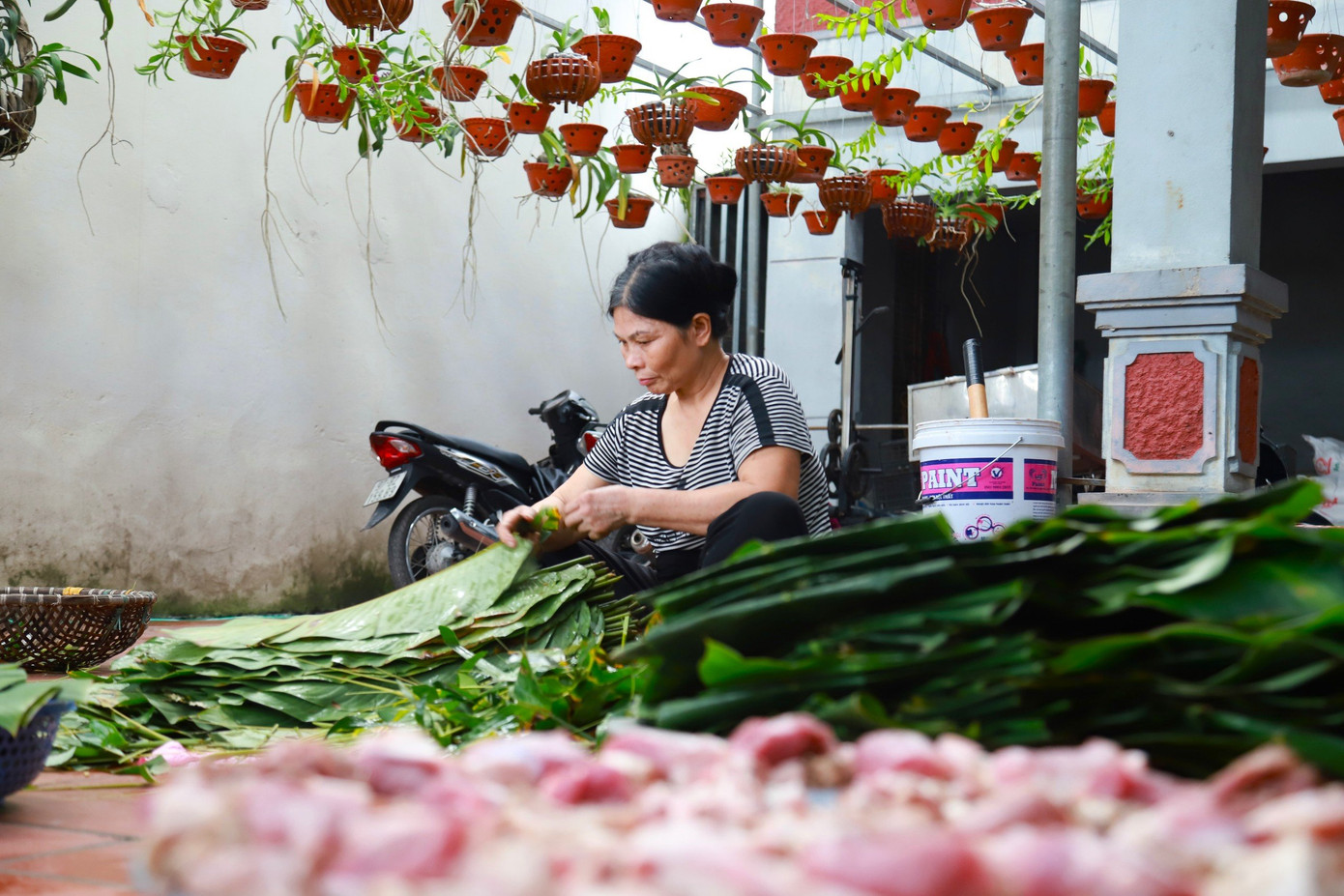 Thị trường tiêu thụ chủ yếu của gia đình bà Dạp hay anh Sơn đều là những khách quen quanh Hà Nội, chủ yếu là bán sỉ tại các cửa hàng khu vực Lĩnh Nam, Khâm Thiên, Giảng Võ...