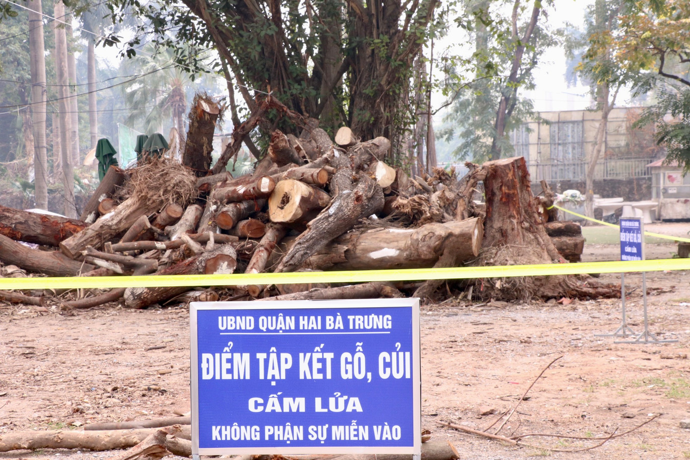 Nhiều "núi" gỗ chồng chất trong khuôn viên khiến diện mạo công viên trở nên nhếch nhác. Nhiều "núi" gỗ chồng chất trong khuôn viên khiến diện mạo công viên trở nên nhếch nhác.