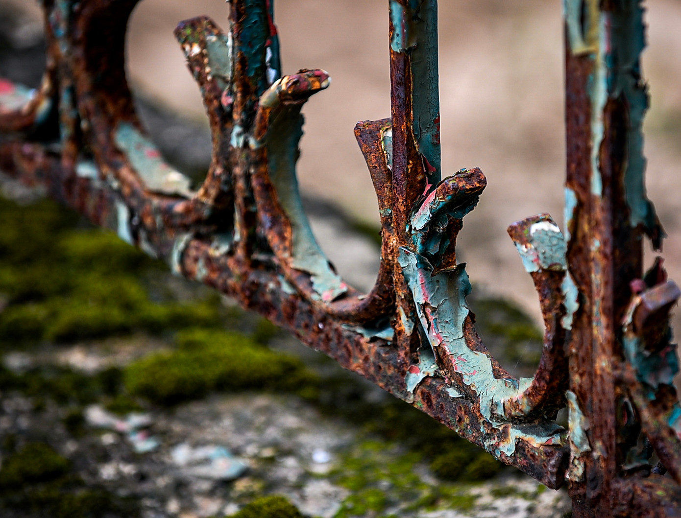 Nhiều cơ sở hạ tầng khác trong công viên cũng bị xuống cấp trầm trọng: hàng rào sắt, cột đèn hoen rỉ; chậu cây cảnh chết khô, những giá để chậu hoa trống trơn,.... Nhiều cơ sở hạ tầng khác trong công viên cũng bị xuống cấp trầm trọng: hàng rào sắt, cột đèn hoen rỉ; chậu cây cảnh chết khô, những giá để chậu hoa trống trơn,....