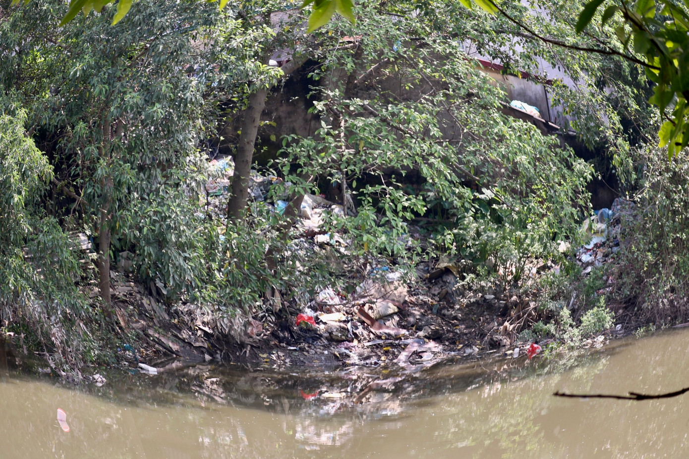 Rác tràn từ trên bờ xuống dưới lòng sông Rác tràn từ trên bờ xuống dưới lòng sông