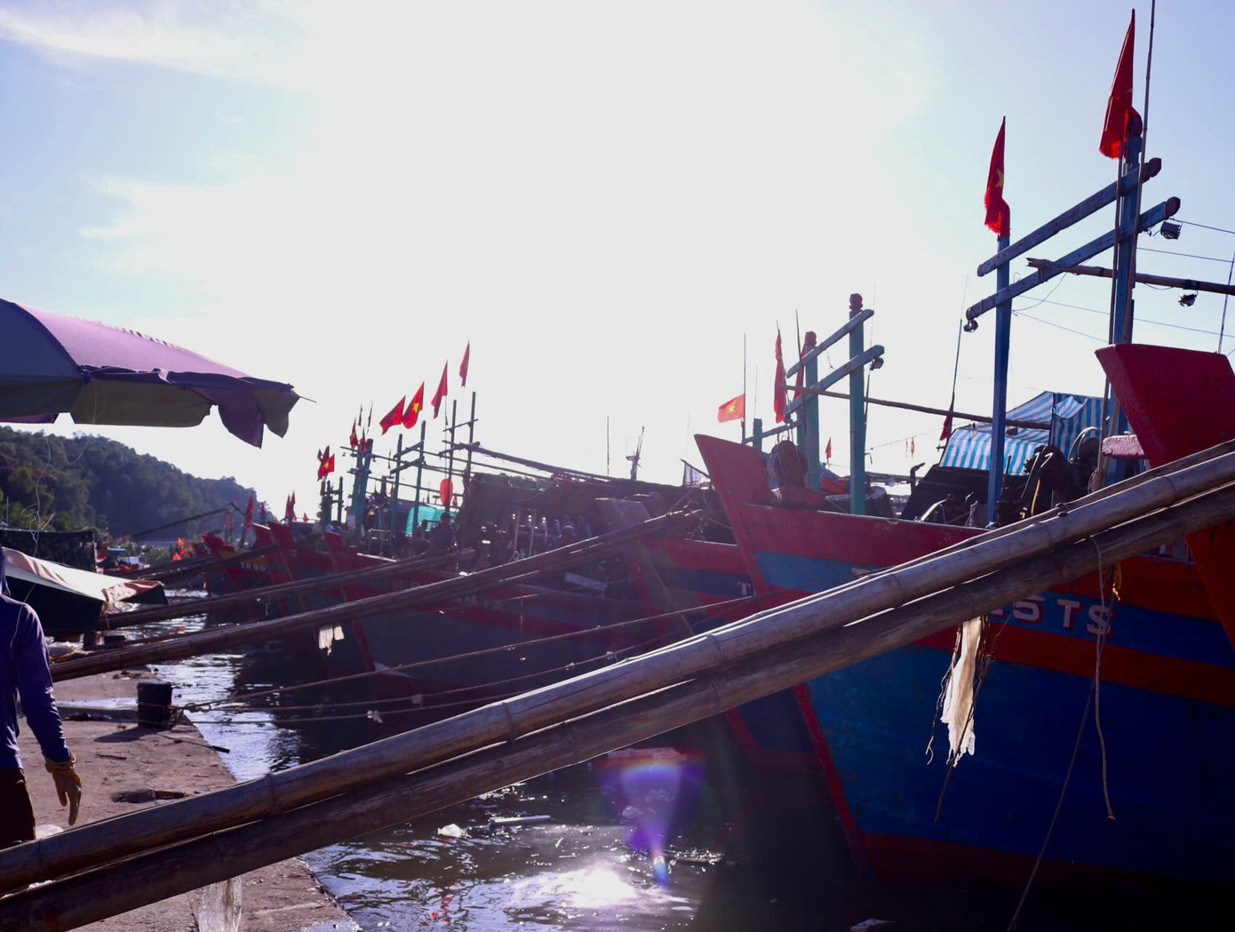 Ghi nhận sáng ngày 3/9 tại cửa biển Lạch Trường (xã Hoằng Trường, huyện Hoằng Hóa) nhiều tàu cá lớn đánh bắt dài ngày đã trở về, đem về những mẻ cá mới, tươi ngon.