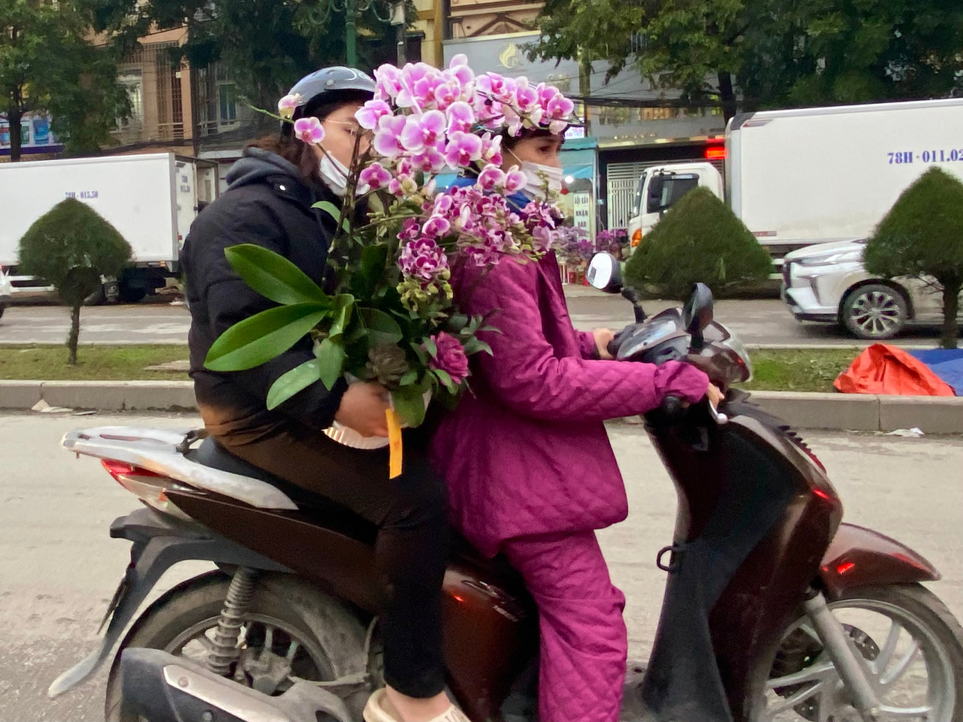 Nhiều người dân tranh thủ chọn cho mình những chậu hoa ưng ý.