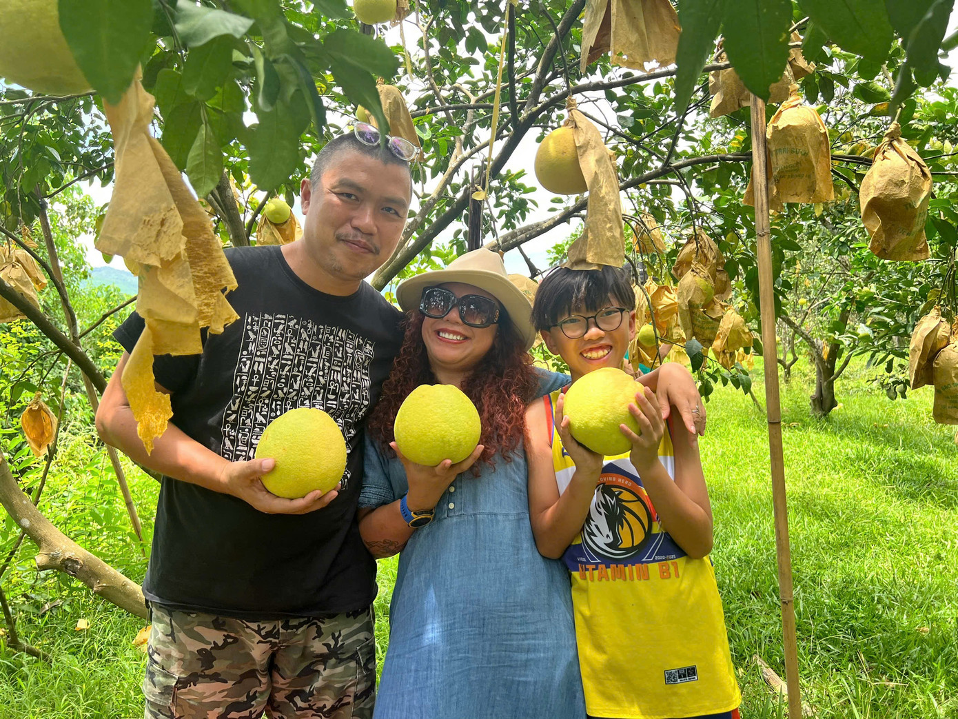 Đến mùa bưởi chín, nhiều gia đình đưa nhau đến các vườn bưởi để check-in và trải nghiệm tận tay hái những trái bưởi tươi ngon trên cành.