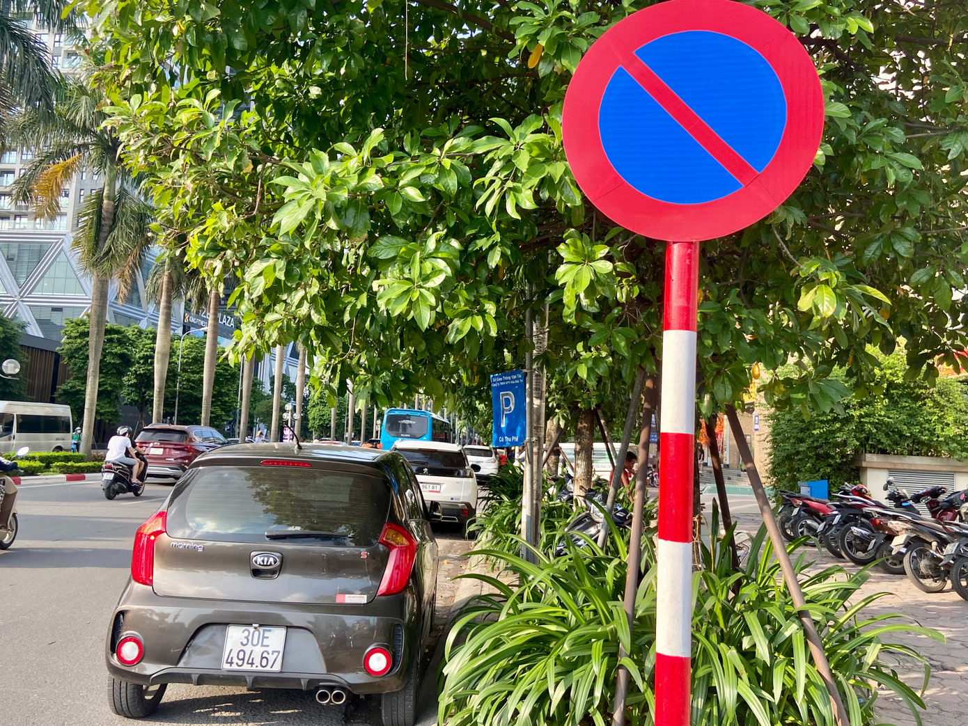 Trên đoạn đường Lê Đức Thọ, đầu đường là biển "cấm đỗ xe" và cách khoảng 2m lại có một biển báo "nơi đỗ xe" bị cây che gần hết.