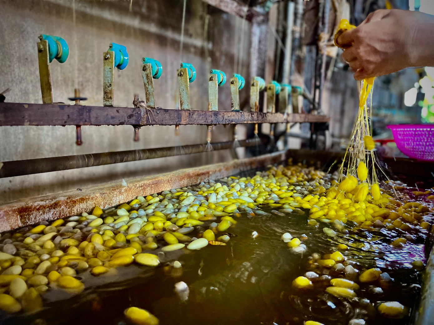 Anh Ngô Quý Lộc cho biết: "Trước kia cả làng làm nghề nhưng chủ yếu làm thủ công bằng tay chứ không có máy móc như bây giờ. Khoảng hơn 10 năm trở lại đây, cả làng chỉ còn 2 hộ bám trụ với nghề, nhưng cũng chỉ mua kén chất lượng từ nơi khác về dệt tơ, uơm tơ, cắt kén, bán nhộng thương phẩm”.