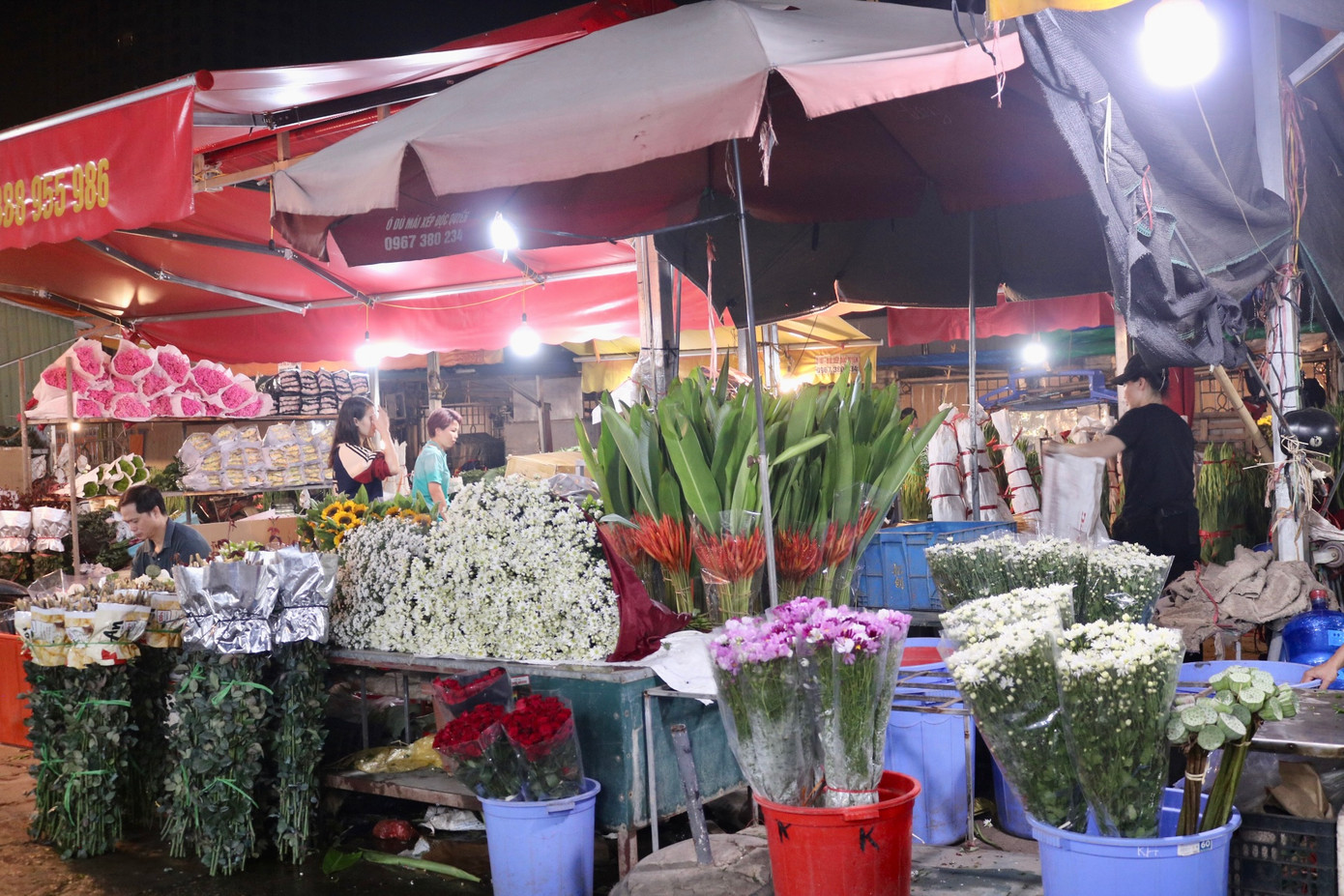 Mới đầu mùa, hoa đang độ khan hiếm.