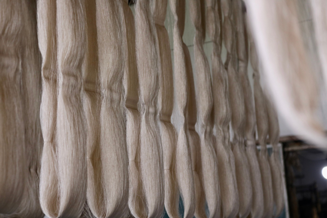 Tơ tằm thường có màu vàng óng trong khi đó tơ sen sẽ có màu trắng đục và chuyển dần qua màu trắng sáng Tơ tằm thường có màu vàng óng trong khi đó tơ sen sẽ có màu trắng đục và chuyển dần qua màu trắng sáng