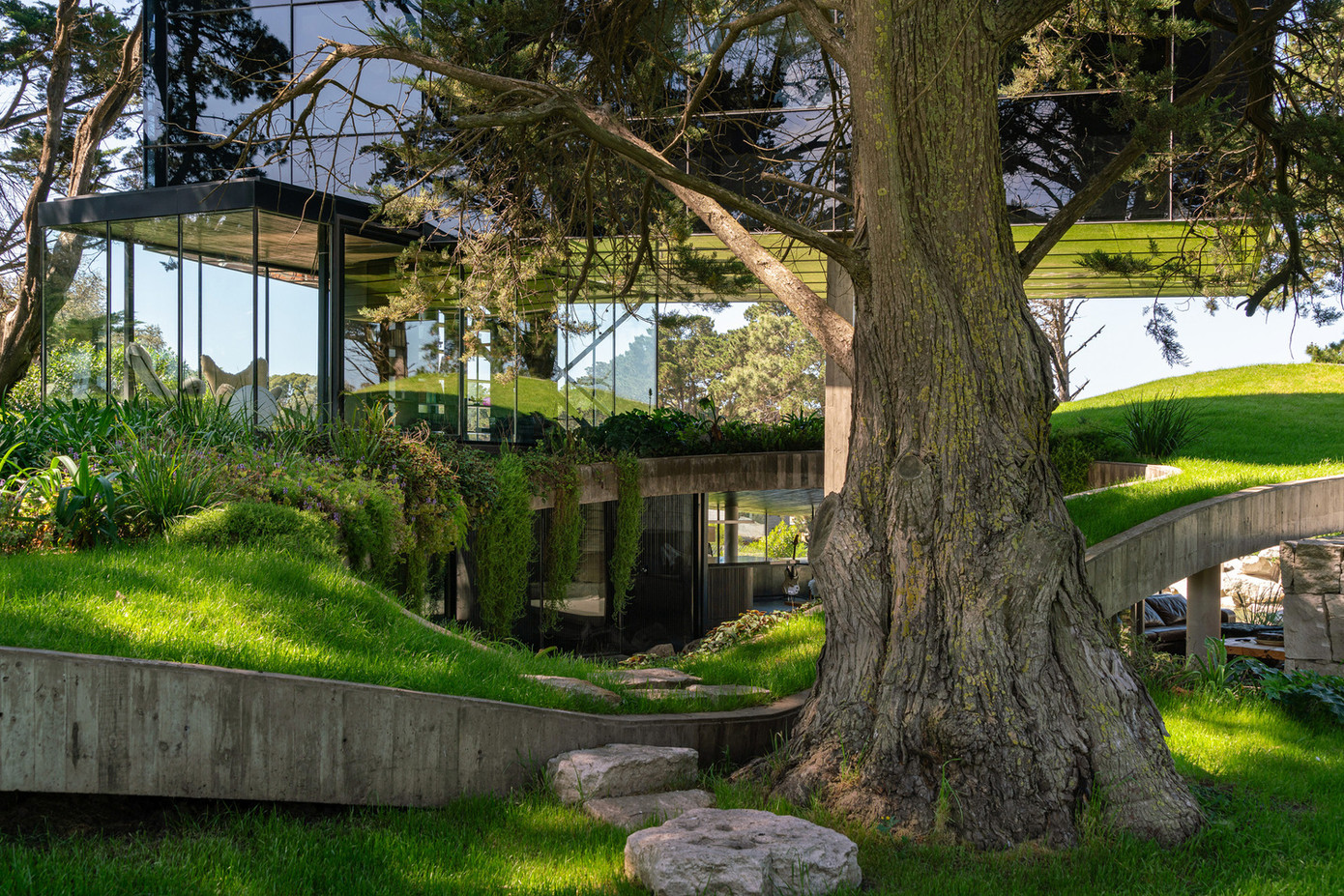 Ngôi nhà như hoà làm một với cảnh quan xung quanh.