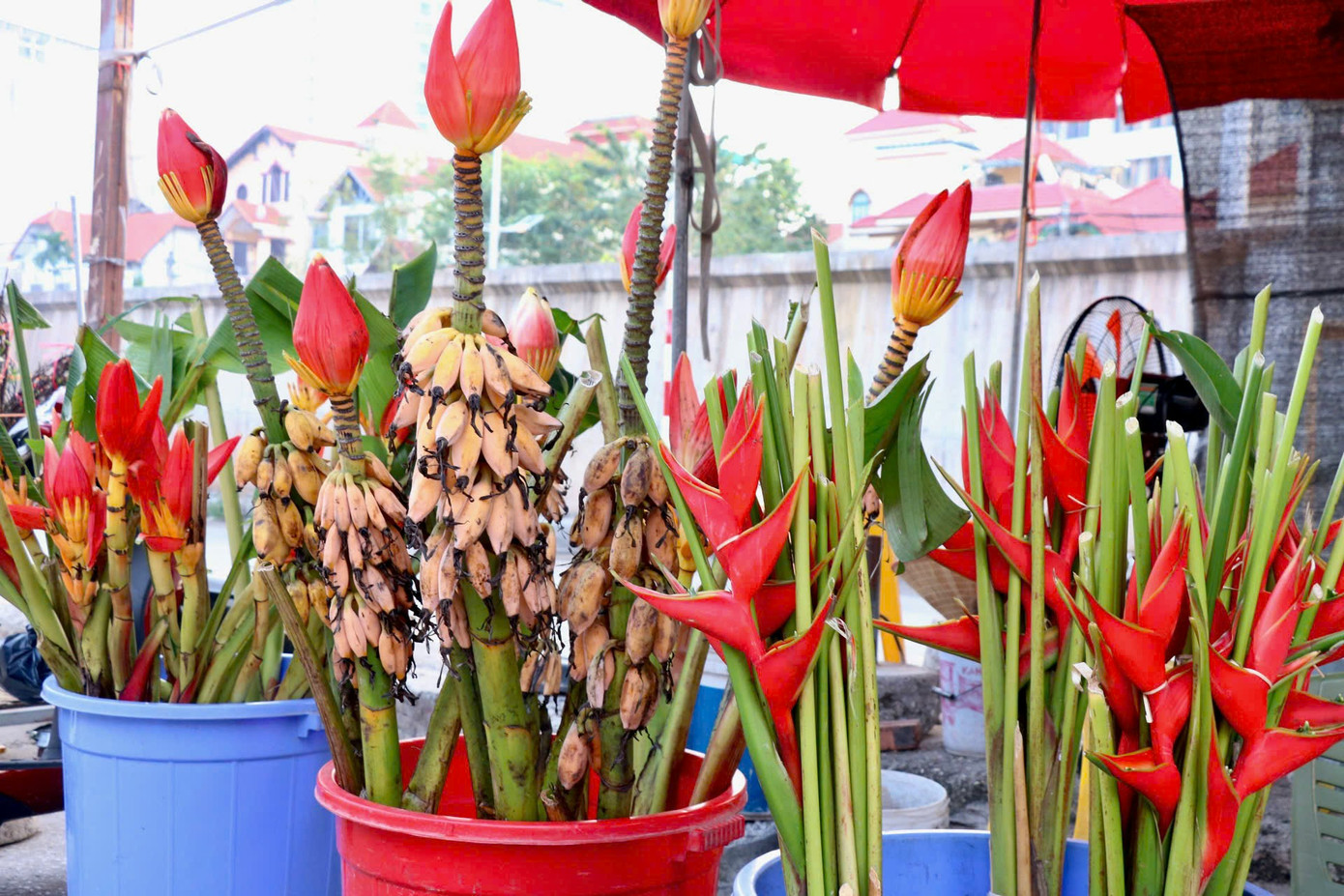 Theo ông Hùng, giá thành hoa chuối rừng cao bởi người dân phải vào sâu trong rừng tìm kiếm, sau đó vận chuyển xuống thành phố phải đảm bảo điều kiện bảo quản cẩn thận để giữ cho hoa đẹp, không bị xây xát.