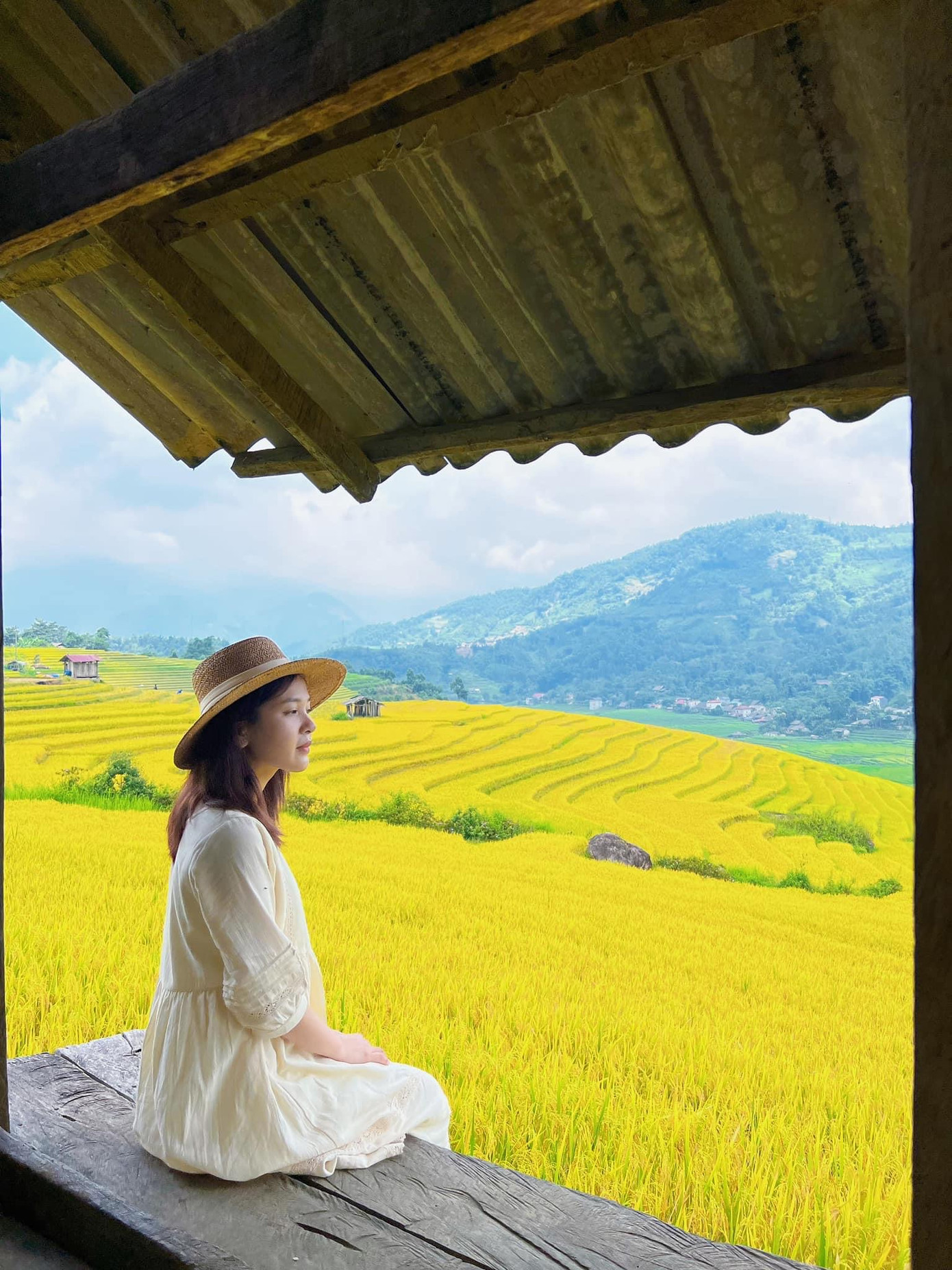 Cánh đồng lúa vàng óng dưới nắng hè như tô điểm cho bức tranh thiên nhiên xinh đẹp của núi rừng Tây Bắc. Cánh đồng lúa vàng óng dưới nắng hè như tô điểm cho bức tranh thiên nhiên xinh đẹp của núi rừng Tây Bắc.