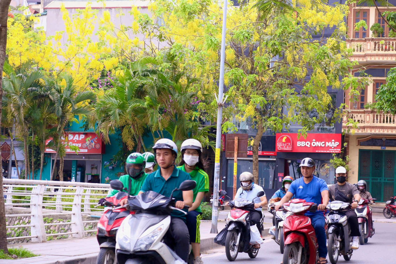 Cứ mỗi độ hè về, hoa muồng hoàng yến lại rực vàng trên nhiều tuyến phố Hà Nội như: Trích Sài, Nguyễn Văn Huyên, Nguyễn Thái Học... Cứ mỗi độ hè về, hoa muồng hoàng yến lại rực vàng trên nhiều tuyến phố Hà Nội như: Trích Sài, Nguyễn Văn Huyên, Nguyễn Thái Học...