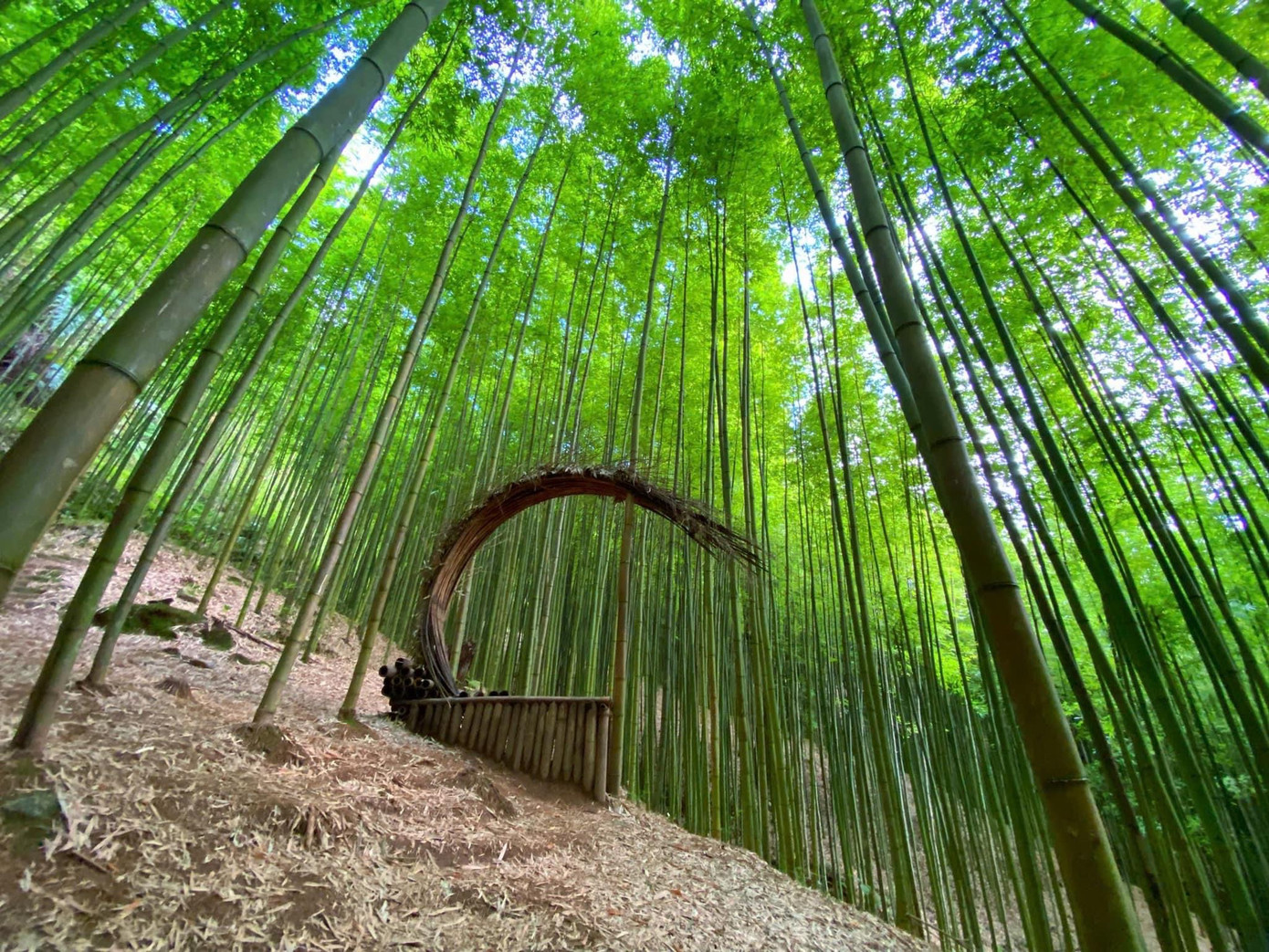 Tại đây, người dân địa phương còn dựng lên nhiều tiểu cảnh đẹp như xích đu, ghế gỗ, cầu tre... để tăng thêm phần lãng mạn cũng vừa làm chỗ nghỉ chân, check-in cho du khách.